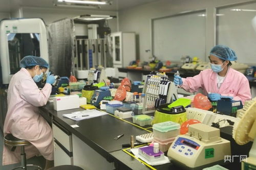 同比增9.9 廣州2021年前三季度gdp破2萬億元