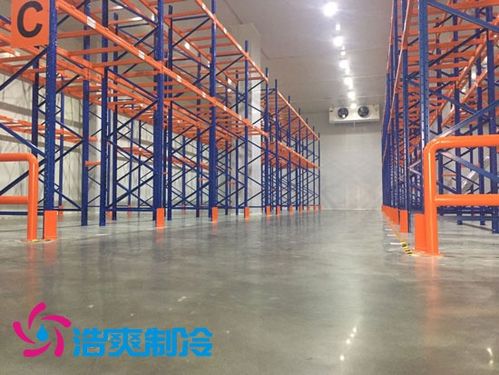 1000噸肉類冷庫建造安裝造價表